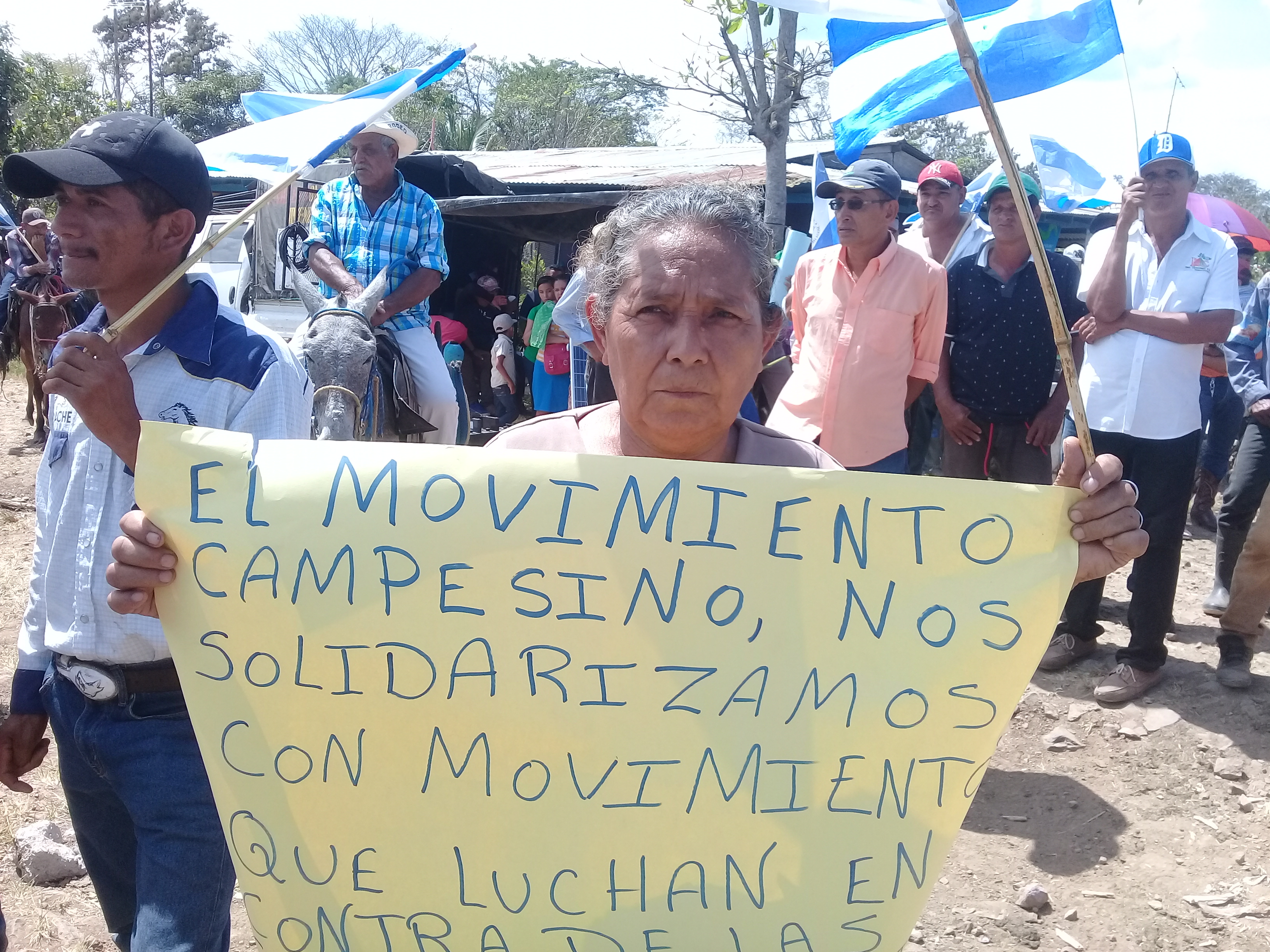 Movimiento Campesino apoya a otros movimientos sociales. Fotografía: Abixael MG/Artículo66