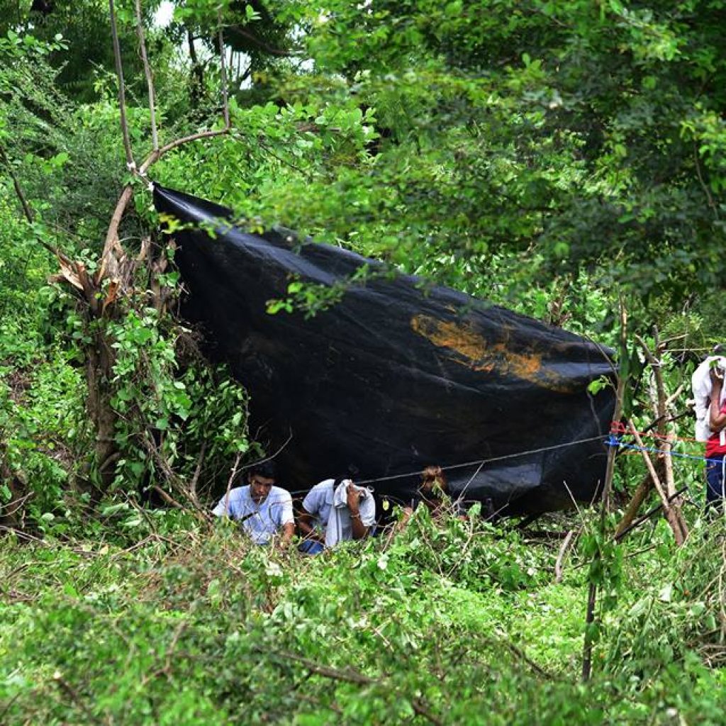 Régimen Orteguista insta a que se apoderen de terrenos privados en Nicaragua