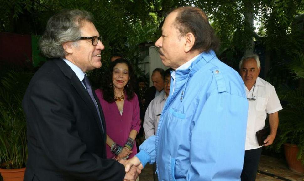 La Dictadura de Daniel Ortega pide renuncia de Luis Almagro como Secretario General de la OEA. Foto/END