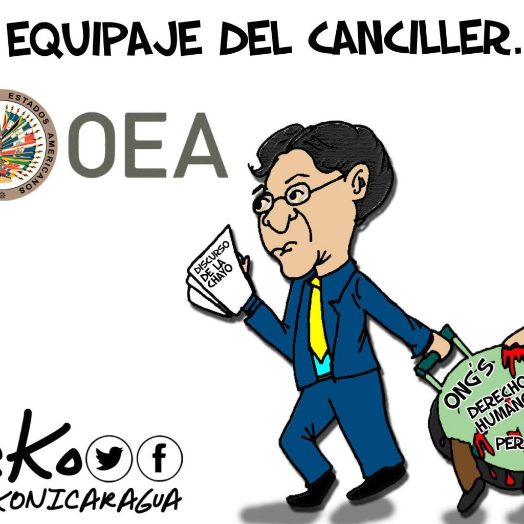 La caricatura: Y allá va el canciller para la OEA
