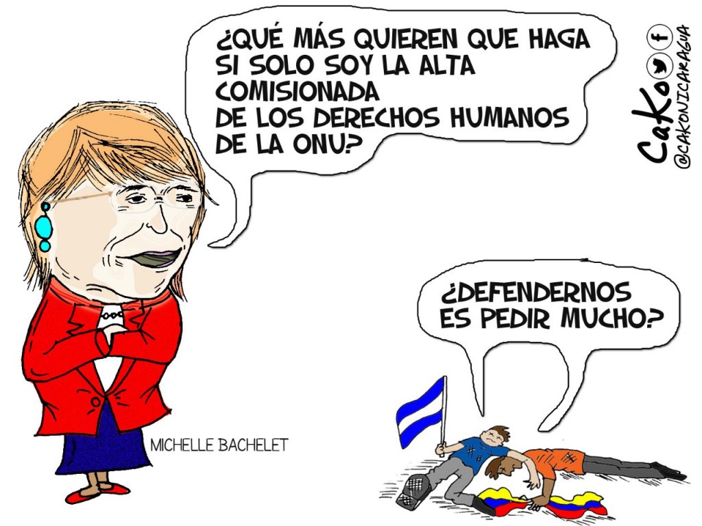 La caricatura: Las observaciones de Bachelet