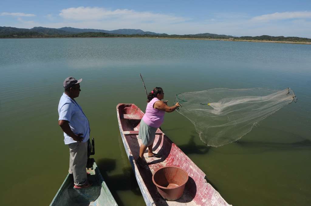 Afectaciones de reforma fiscal alcanzan a pescadores artesanales