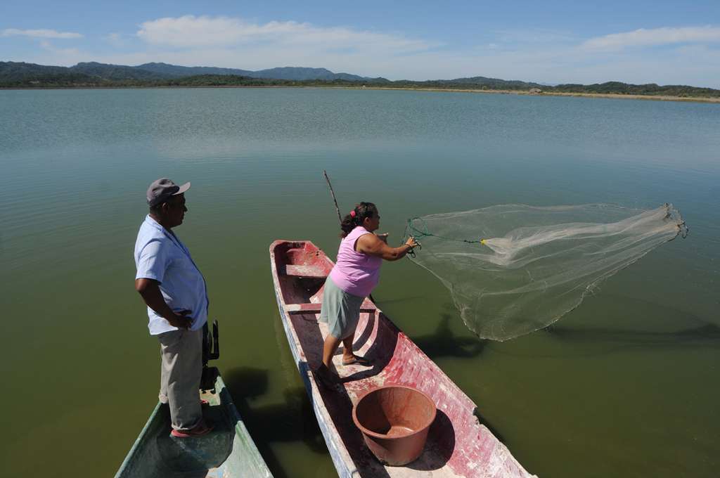 Afectaciones de reforma fiscal alcanzan a pescadores artesanales. Foto: La Prensa