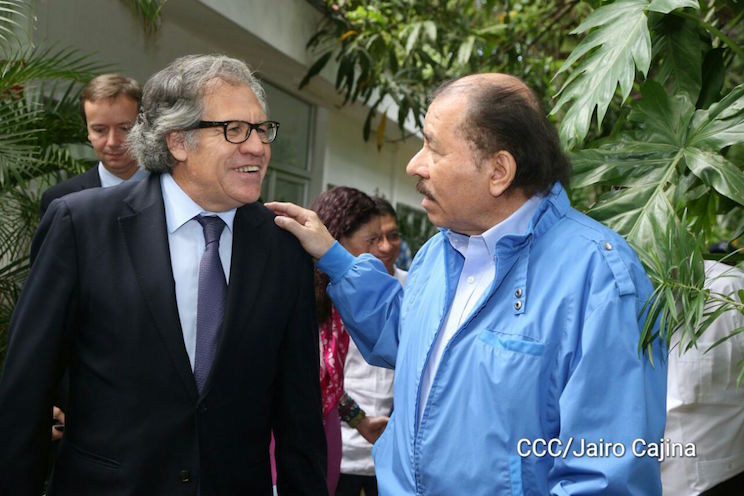 Almagro se olvidó de las masacres de Ortega y lo defiende por liberar a los presos políticos