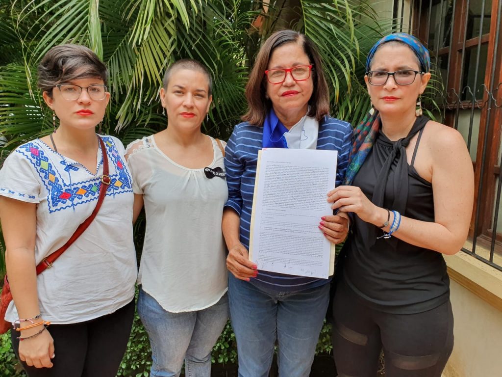 Frente Amplio por la Democracia interpone recurso por inconstitucionalidad contra Ley de Amnistía