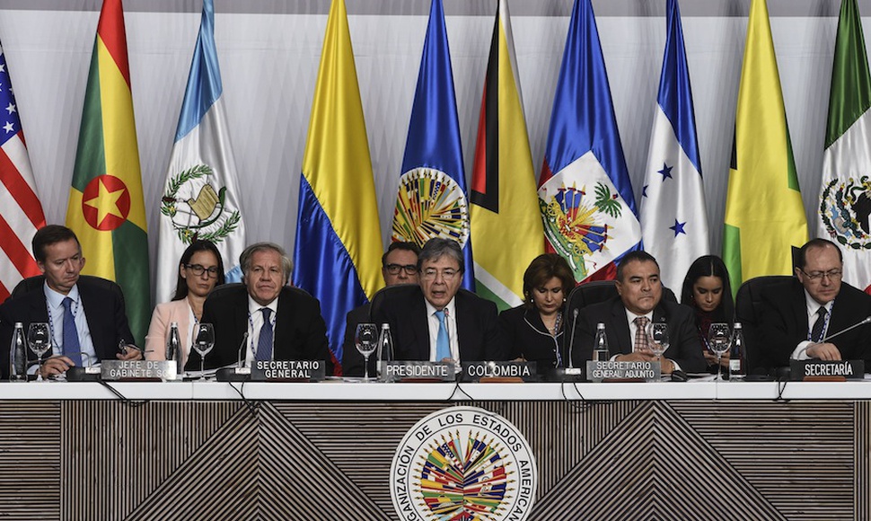 Alianza Cívica llama a la Comisión de la OEA a llegar a Nicaragua a “la mayor brevedad” posible