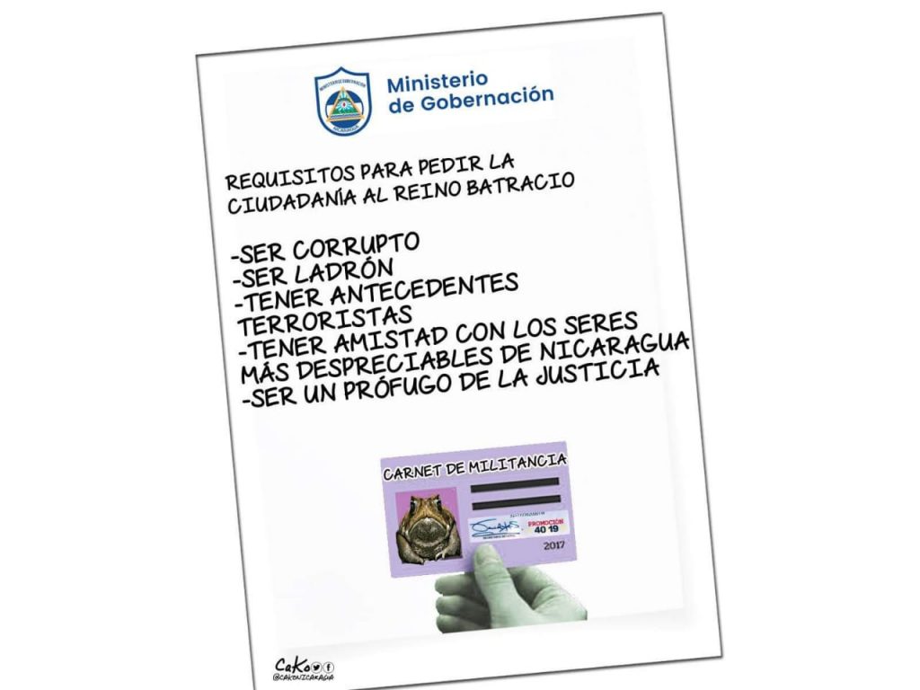 La Caricatura: Los requisitos