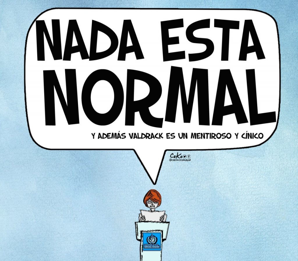 La Caricatura: Resumen del informe de la ONU