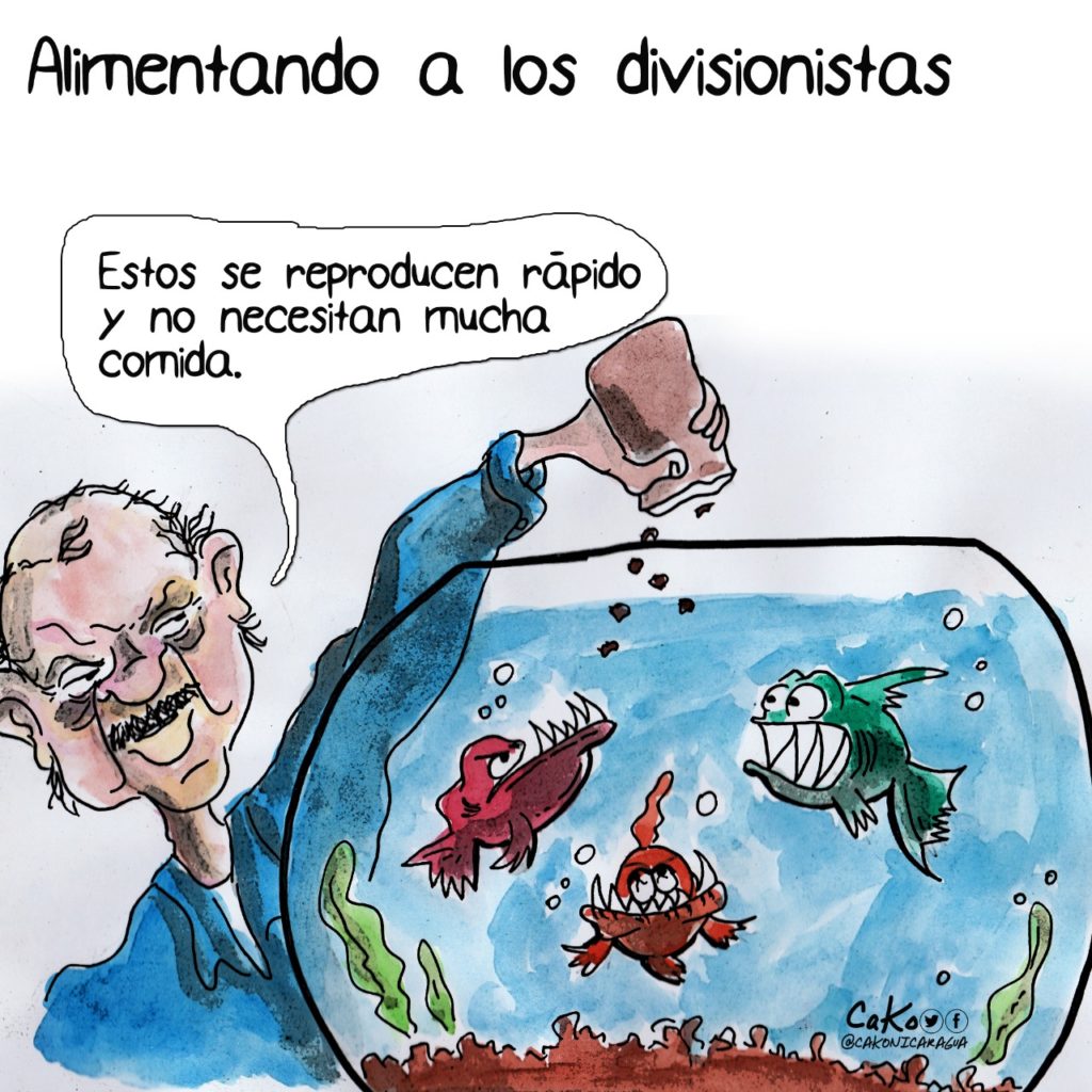 La Caricatura: Alimentando a los divisionistas