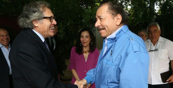 OEA debe poner plazos al régimen de Ortega. Foto: Cortesía