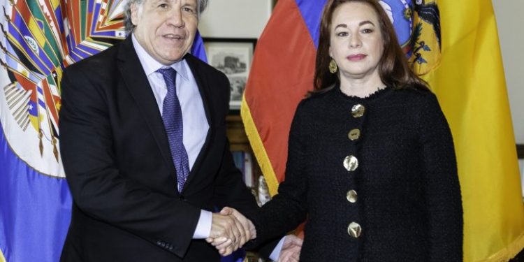 Luis Almagro, favorito para reelegirse como secretario general de la OEA. Foto: Diario de Las Américas