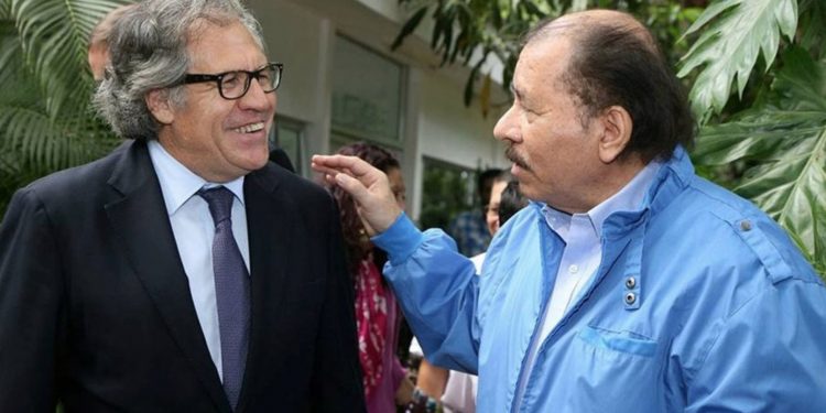 Edgard Parrales: «Mientras Ortega permanezca en la OEA «debe cumplir con todo lo que se le ha demandado»