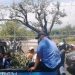 Captura de la transmisión donde la Policía detiene a vendedores de hojas de eucalipto