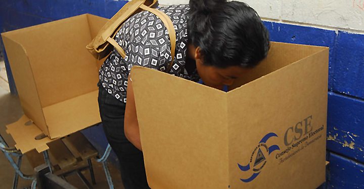 OEA lanza guía que los gobiernos pueden adoptar para organizar elecciones en tiempos de COVI-19. Foto: La Prensa