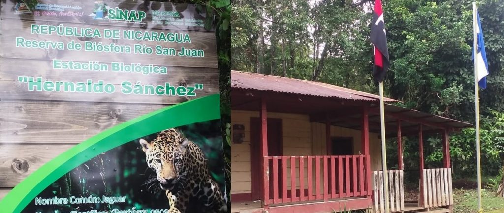 Gobierno confisca seis propiedades a ONG ambientalista Fundación del Río
