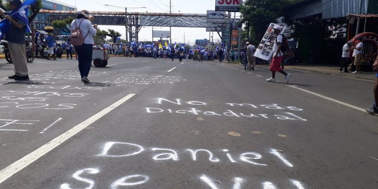 Organizaciones opositoras exigirán a la OEA declarar ilegitimo al dictador Ortega. Foto: Tomada de internet