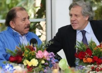 OEA aprueba resolución contra régimen de Ortega que insta a reformas electorales. Foto: Internet.