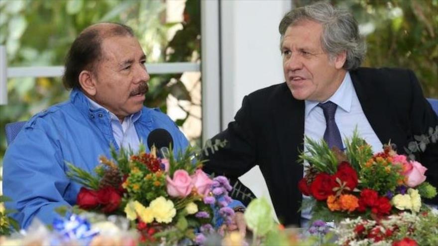OEA aprueba resolución contra régimen de Ortega que insta a reformas electorales. Foto: Internet.