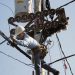 Régimen de Ortega cede y anuncia reducción en la tarifa eléctrica para 2021. Foto: La Prensa