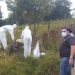 Asesinan en Honduras al rearmado «comandante El Flaco». Foto: tomado de internet
