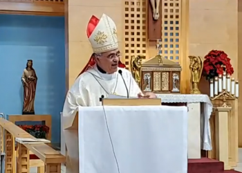Mons. Silvio Báez: «En cada familia exiliada está la Sagrada Familia de Nazaret»