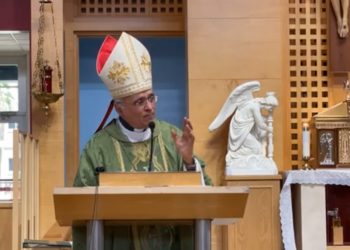 Monseñor Silvio Báez: La «fiebre» de fama, el poder y el poseer impiden servir a los demás