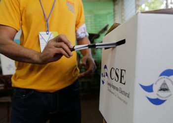 CSE tiene habilitados 19 partidos políticos para participar en elecciones presidenciales y legislativas. Foto: Internet.