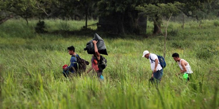Trabajo de los migrantes nicaragüenses «brinda un aporte importante a la economía costarricense»