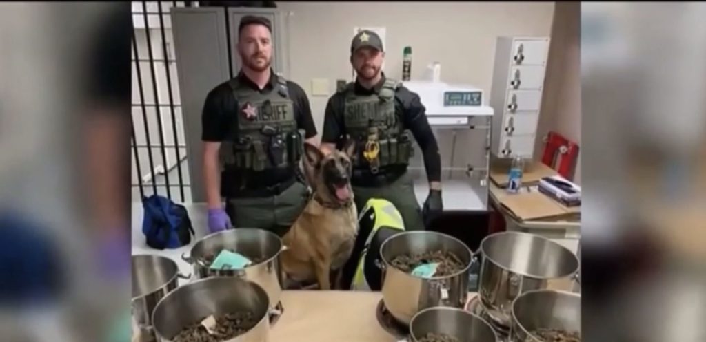 Perra policía descubre casi 4.000 kilos de marihuana en ollas a presión