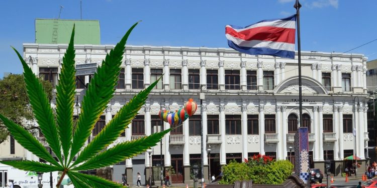 Costa Rica aprueba uso de marihuana medicinal
