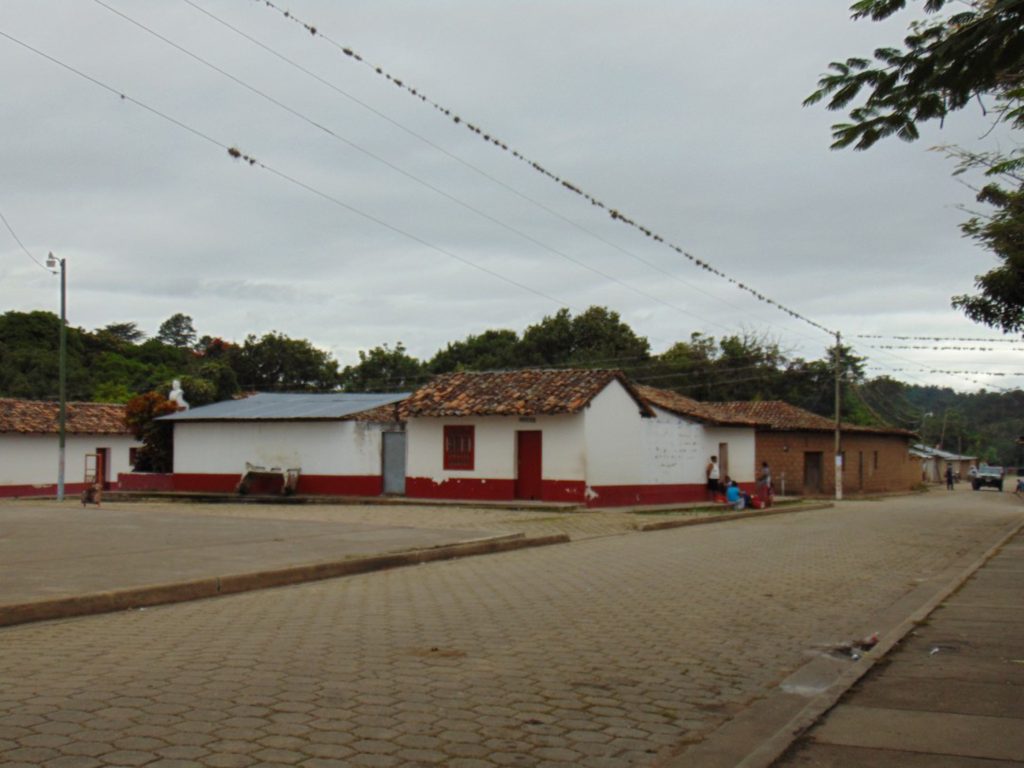 Campesinos