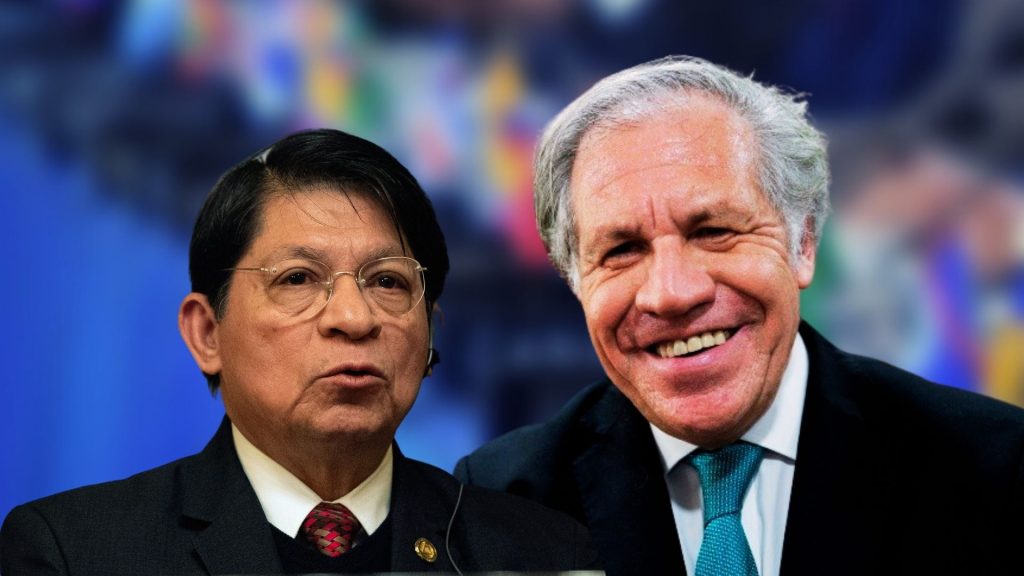Canciller Moncada: «Llegó el momento de decirle alto a la OEA»