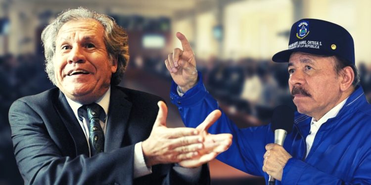 Juntos por Nicaragua demanda a la OEA no aceptar ningún dialogo propuesto por Ortega