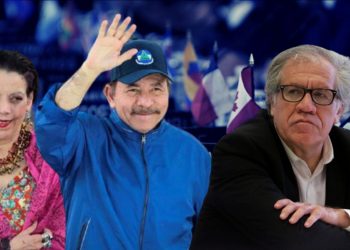 UNAB: Ortega «huye» de la OEA porque no resistió el «golpe que representó la denuncia de McFields»