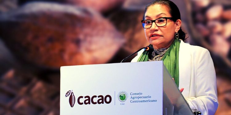 Centroamérica ya tiene nueva estrategia de relevo generacional del cacao