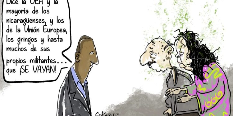 La Caricatura: Lo que dice la OEA