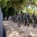 República Dominicana levanta una verja en toda la frontera con Haití