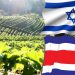 Costa Rica e Israel se alían para fortalecer agricultura, pesca y ganadería