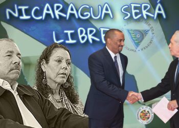 Arturo McFields denuncia ante la OEA la represión a la que el régimen somete a Nicaragua. Imagen: Artículo 66