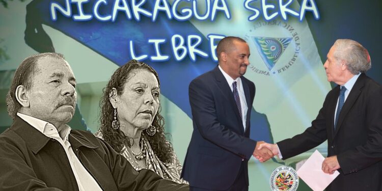 Arturo McFields denuncia ante la OEA la represión a la que el régimen somete a Nicaragua. Imagen: Artículo 66