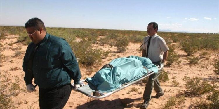 26 inmigrantes muertos en desierto de Arizona (EEUU) en lo que va del 2022