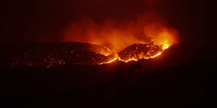 Incendios forestales podrían aumentar el doble en Nicaragua, según ONG