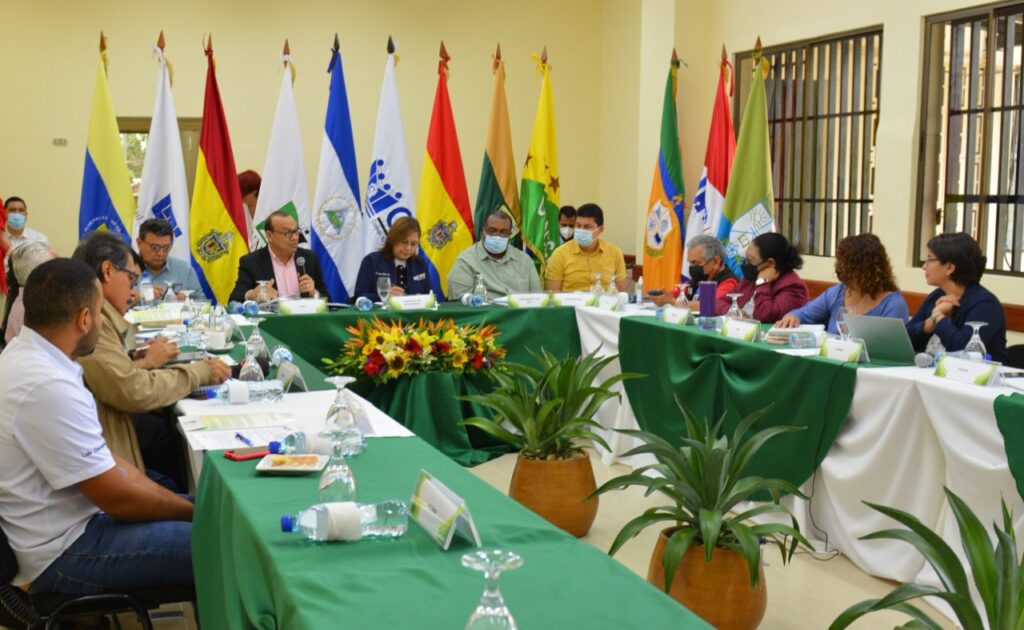 CNU confirma que la UCA queda fuera del 6 % constitucional