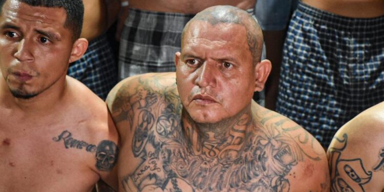 HRW llama a la OEA y la UE pronunciarse sobre "malos tratos" a pandilleros en El Salvador