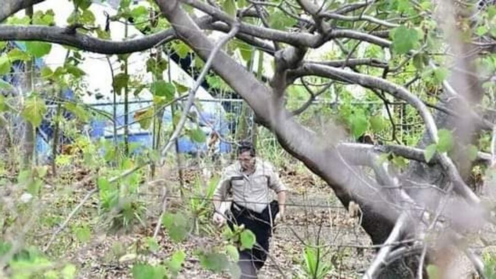 Muere en Costa Rica un nicaragüense identificado como Leónidas Centeno