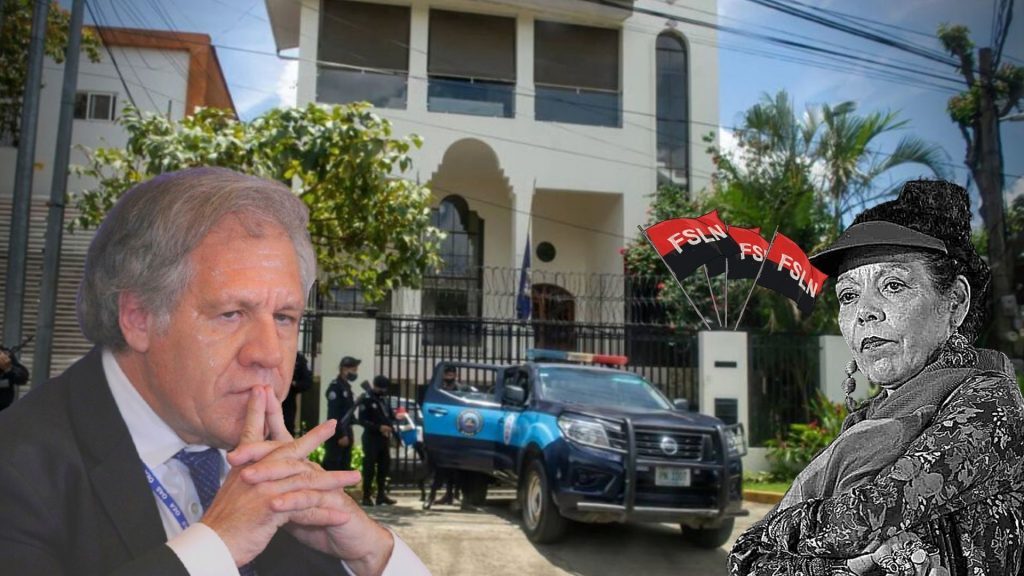 Demandan a la OEA aplicar al régimen de Ortega la Carta Democrática Interamericana