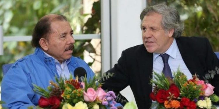 «Ortega opta por el aislamiento internacional» tras acciones contra la OEA