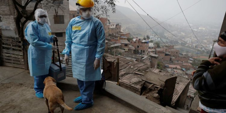 Desmienten "900 mil casos de hepatitis en Perú" por vacunas anticovid