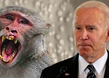Biden dice que EE.UU. está bien preparado para lidiar con la viruela del mono