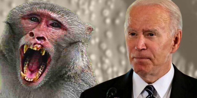 Biden dice que EE.UU. está bien preparado para lidiar con la viruela del mono